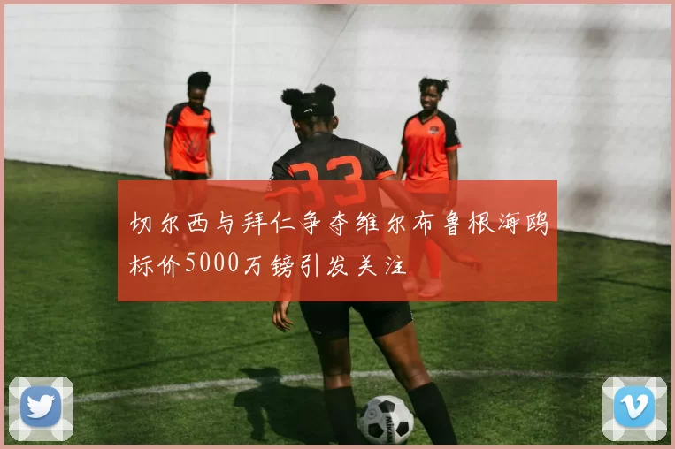 切尔西与拜仁争夺维尔布鲁根海鸥标价5000万镑引发关注