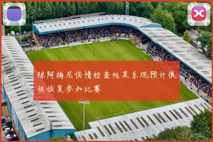 琼阿梅尼伤情检查结果乐观预计很快恢复参加比赛